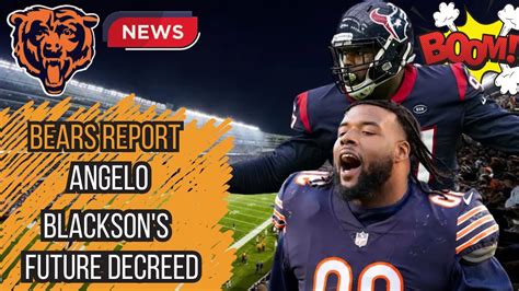 bears standings|chicago bears breaking news.